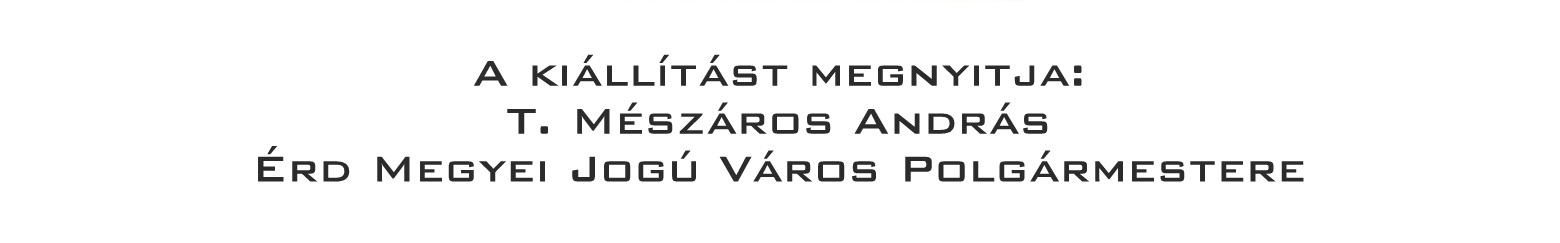bonsai, suiseki, mustra, kiallitas, program ajanlo, program, kiallitas 2 bonsai es suiseki mustra bonsaj es suiseki kiallitas meghivo